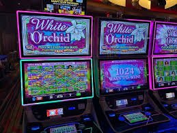 7k slot
